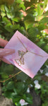 "Encanto" 18K Gold Plated Butterfly Necklace